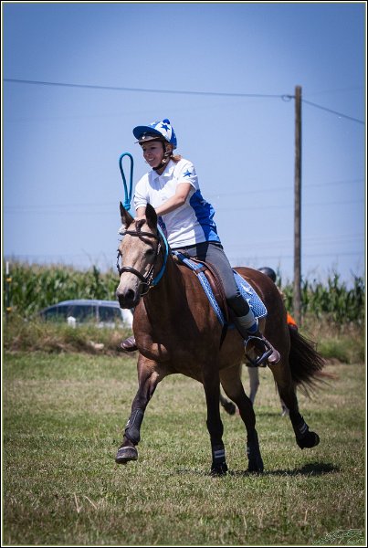 Mounted Games 207